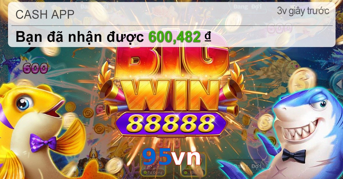 95vn